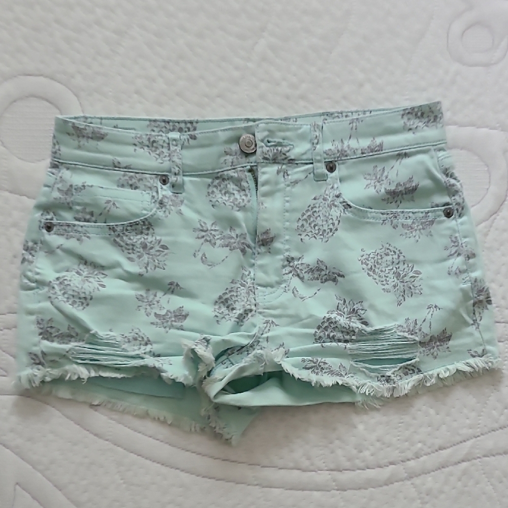 Tokyo Darling Green Jean Shorts Distressed Frayed Hem